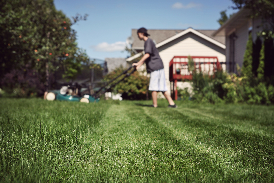 Does a Summer Job Help your college application